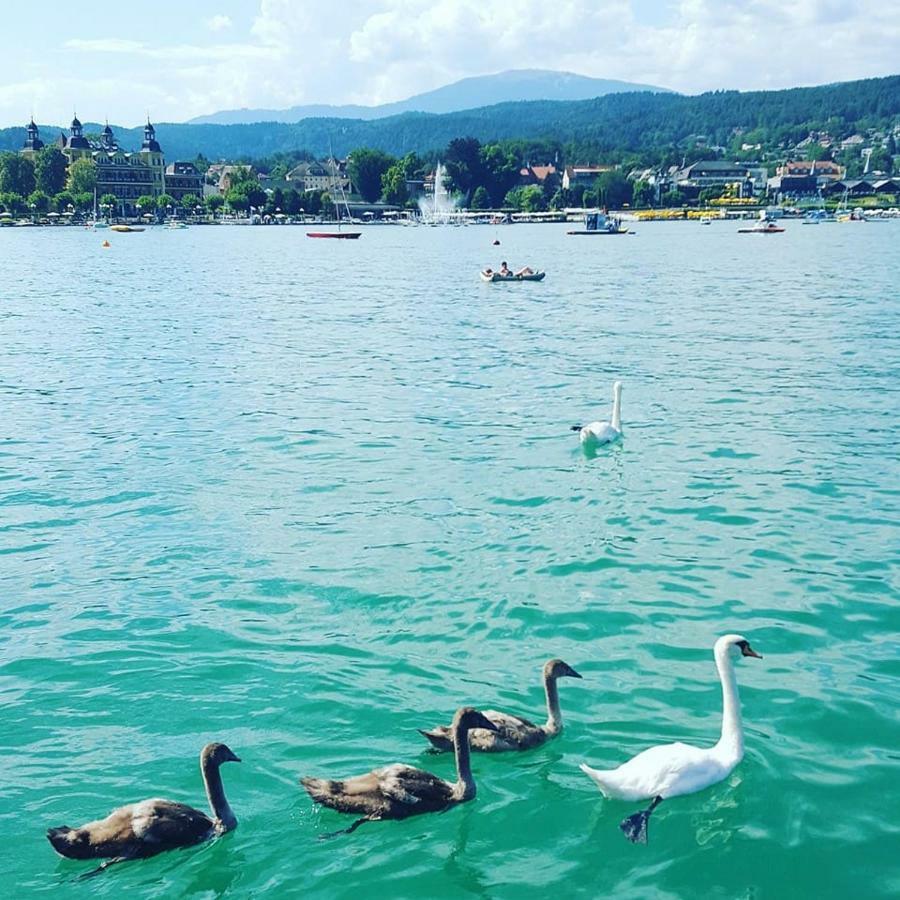 Superior-Apartment Mit Pool Und Seezugang Velden am Woerthersee Ngoại thất bức ảnh